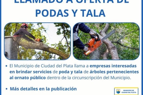 servicios de poda y tala