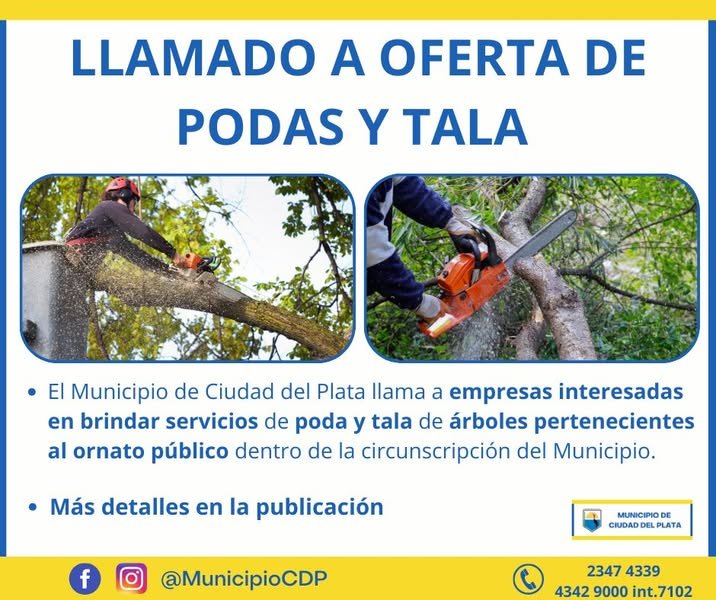 servicios de poda y tala