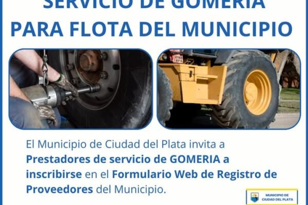 servicio de gomería