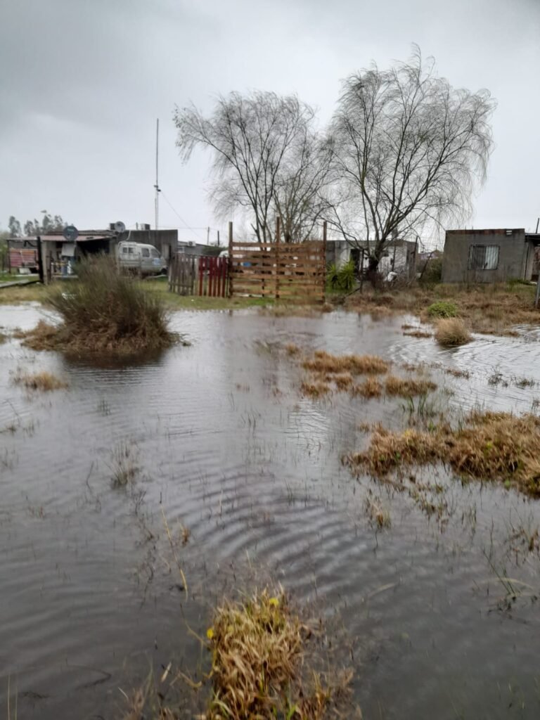 Autódromo uno de los barrios