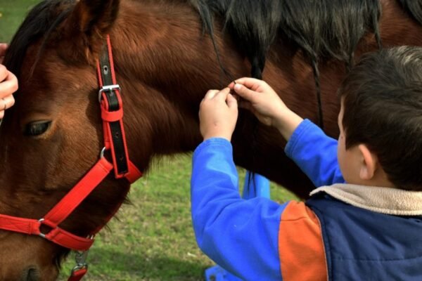 Equinoterapia Al Tranco