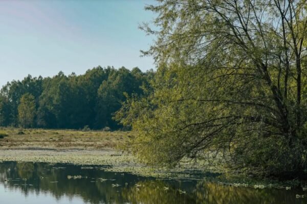 La biodiversidad al alcance del ADN