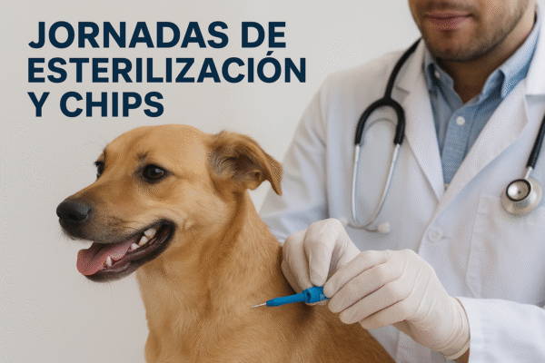 Jornadas de esterilización