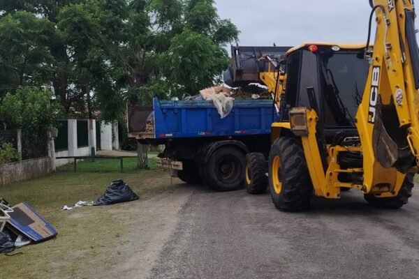 Nueva etapa de recolección